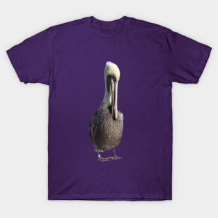 Shy Pelican T-Shirt